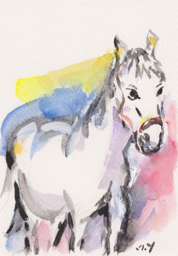 午  2026年     0号大 水彩